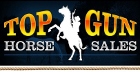 Top Gun Horse Sales